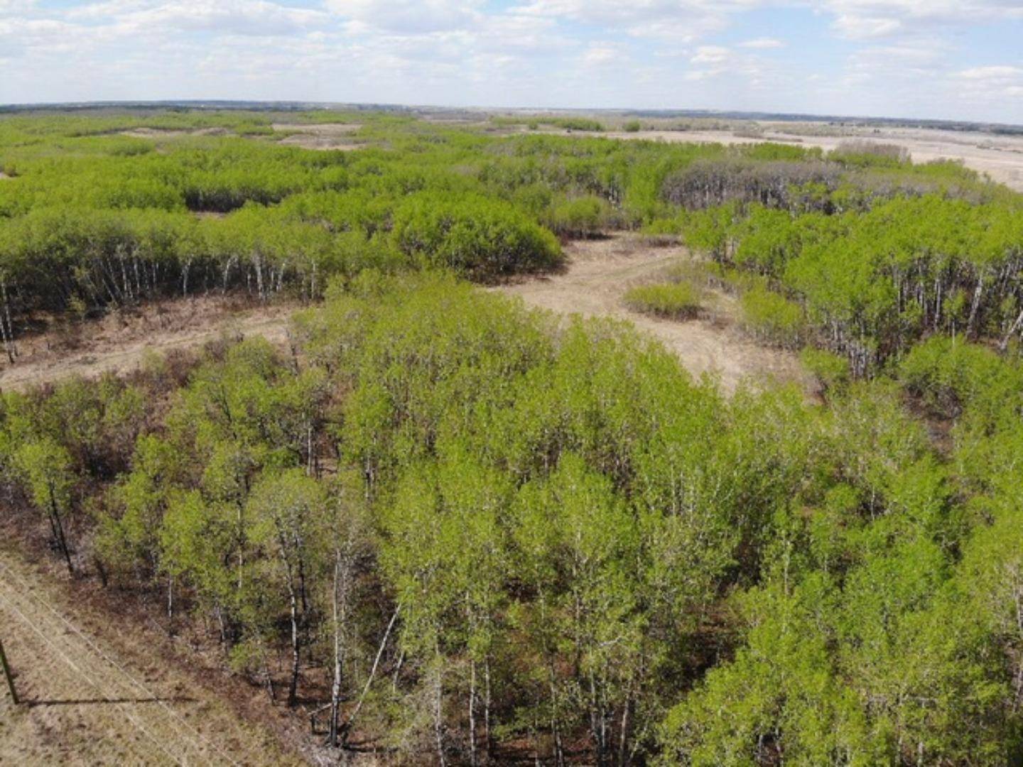 Rural Wainwright No. 61 M.d. Of, AB T9W 1L5,14 450031 73 Range