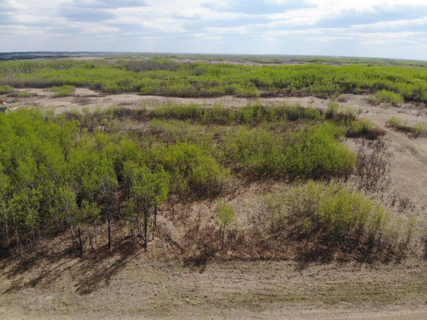 Rural Wainwright No. 61 M.d. Of, AB T9W 1L5,14 450031 73 Range