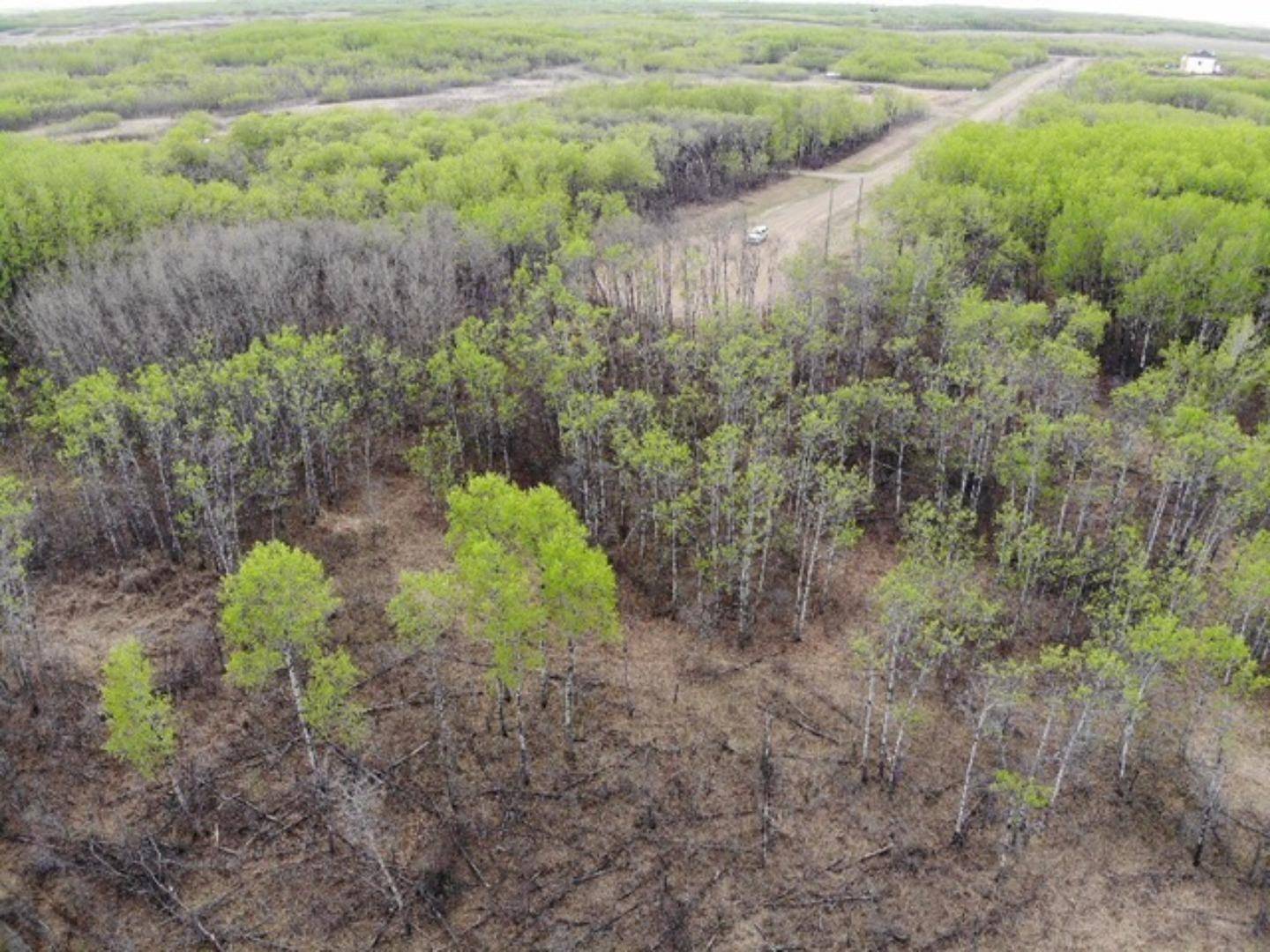 Rural Wainwright No. 61 M.d. Of, AB T9W 1L5,26 450031 73 Range