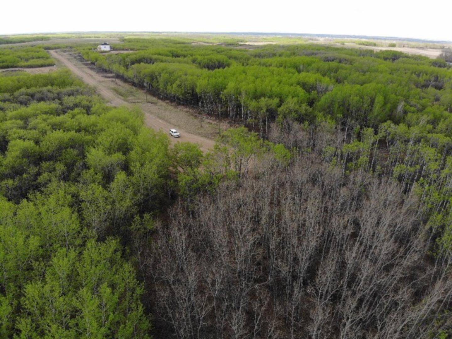 Rural Wainwright No. 61 M.d. Of, AB T9W 1L5,29 450031 73 Range