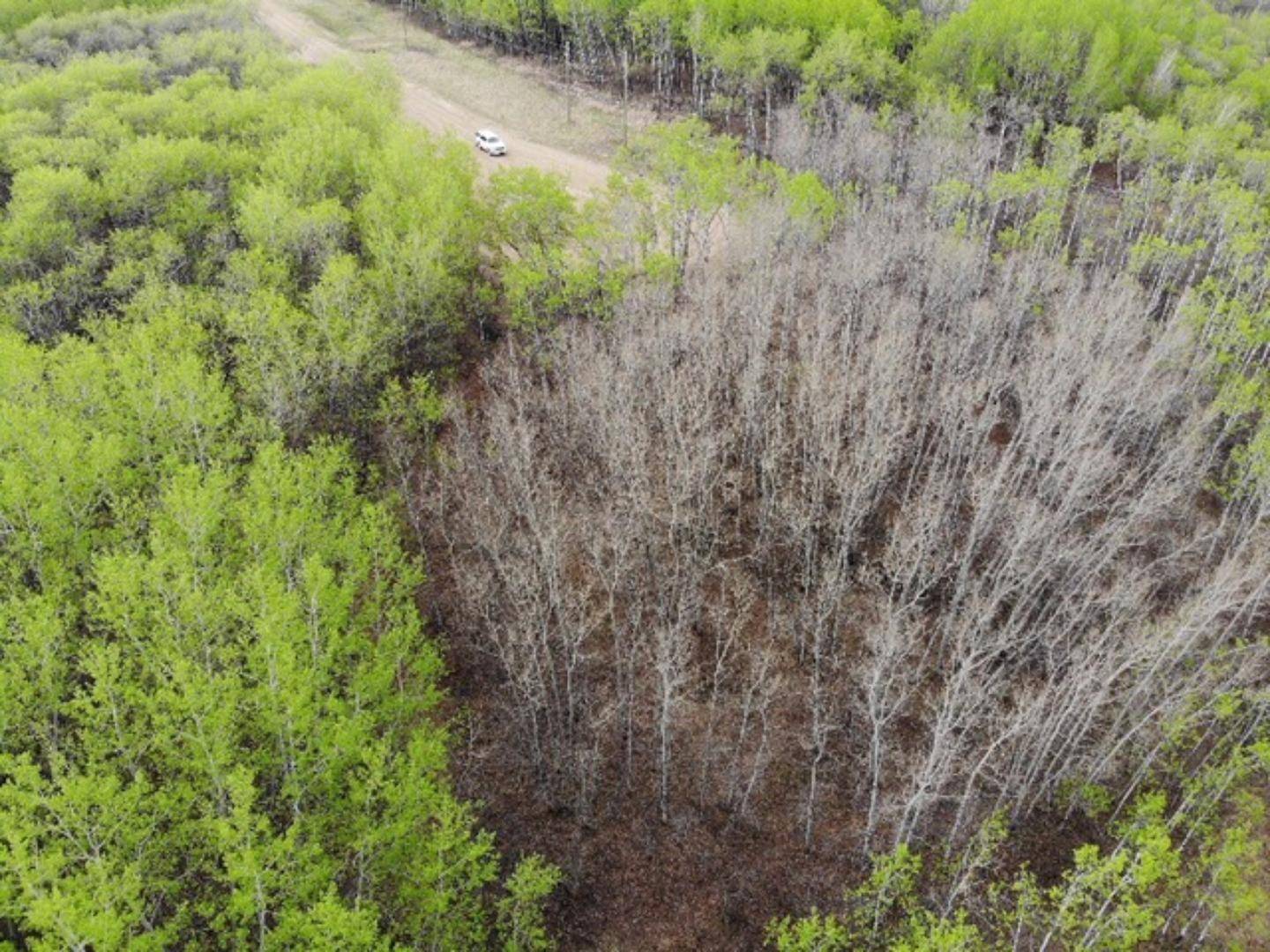 Rural Wainwright No. 61 M.d. Of, AB T9W 1L5,29 450031 73 Range