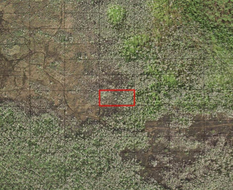 St. Cloud, FL 34772,0 HOLOPAW GROVES RD