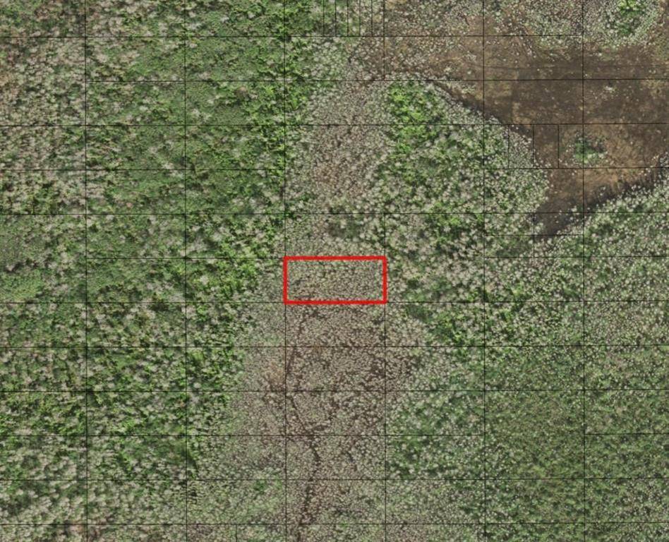 St. Cloud, FL 34772,0 HOLOPAW GROVES RD