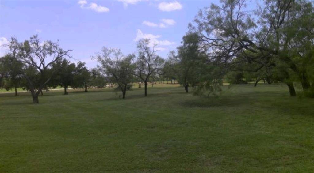 Royse City, TX 75189,0 Brushy Creek Court