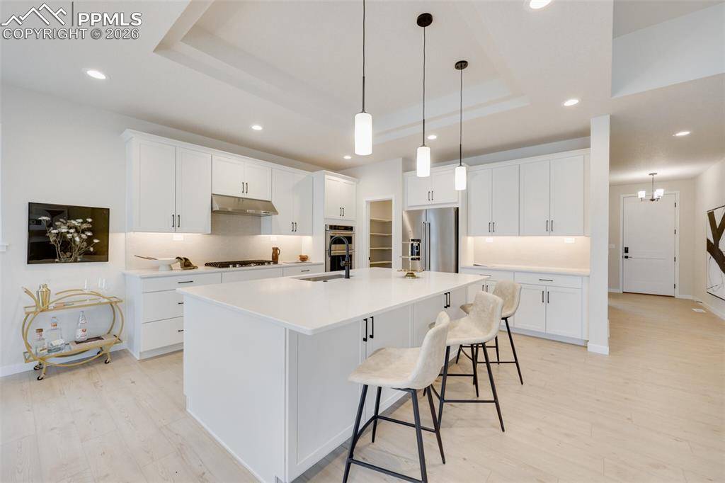 Monument, CO 80132,16906 Greenfield DR