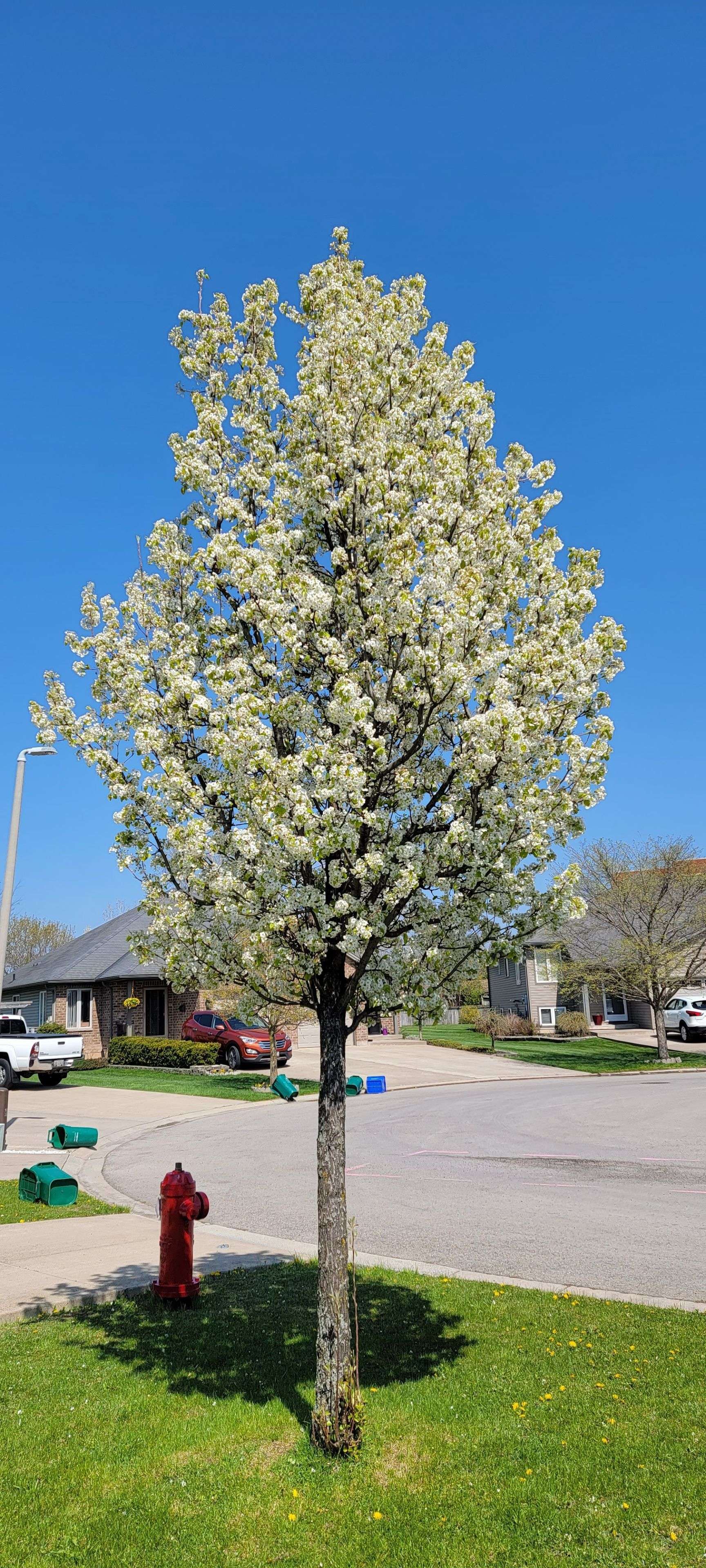 Welland, ON L3B 6H7,45 NATHALIE CT