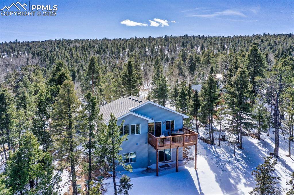 Woodland Park, CO 80863,269 Klitowya TRL