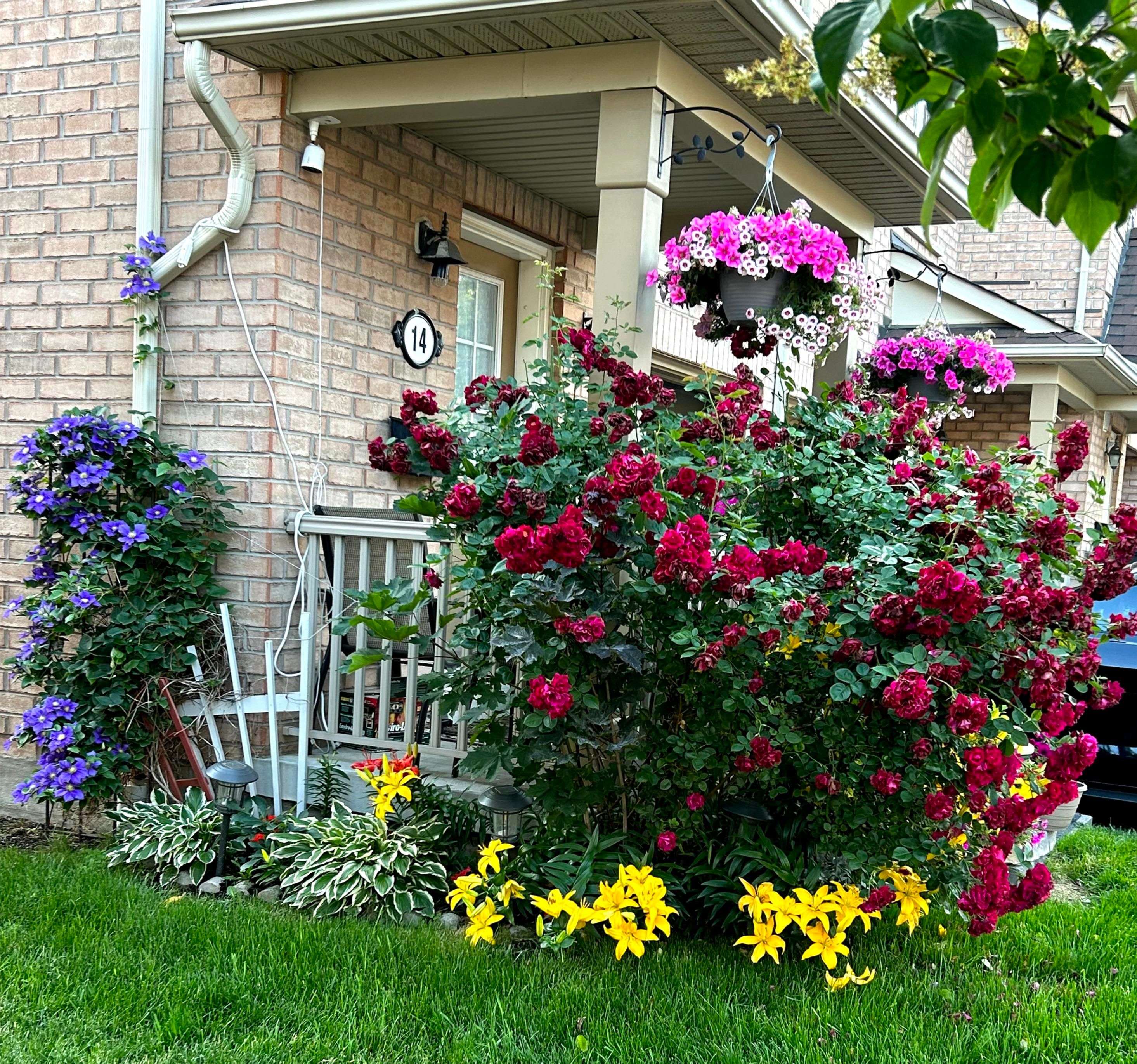 Mississauga, ON L5M 7Z2,3150 Erin Centre BLVD #14