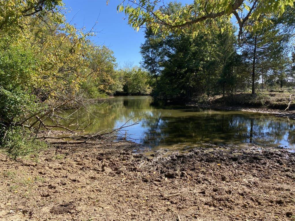 Mount Vernon, TX 75457,TBD E HWY 67 EAST