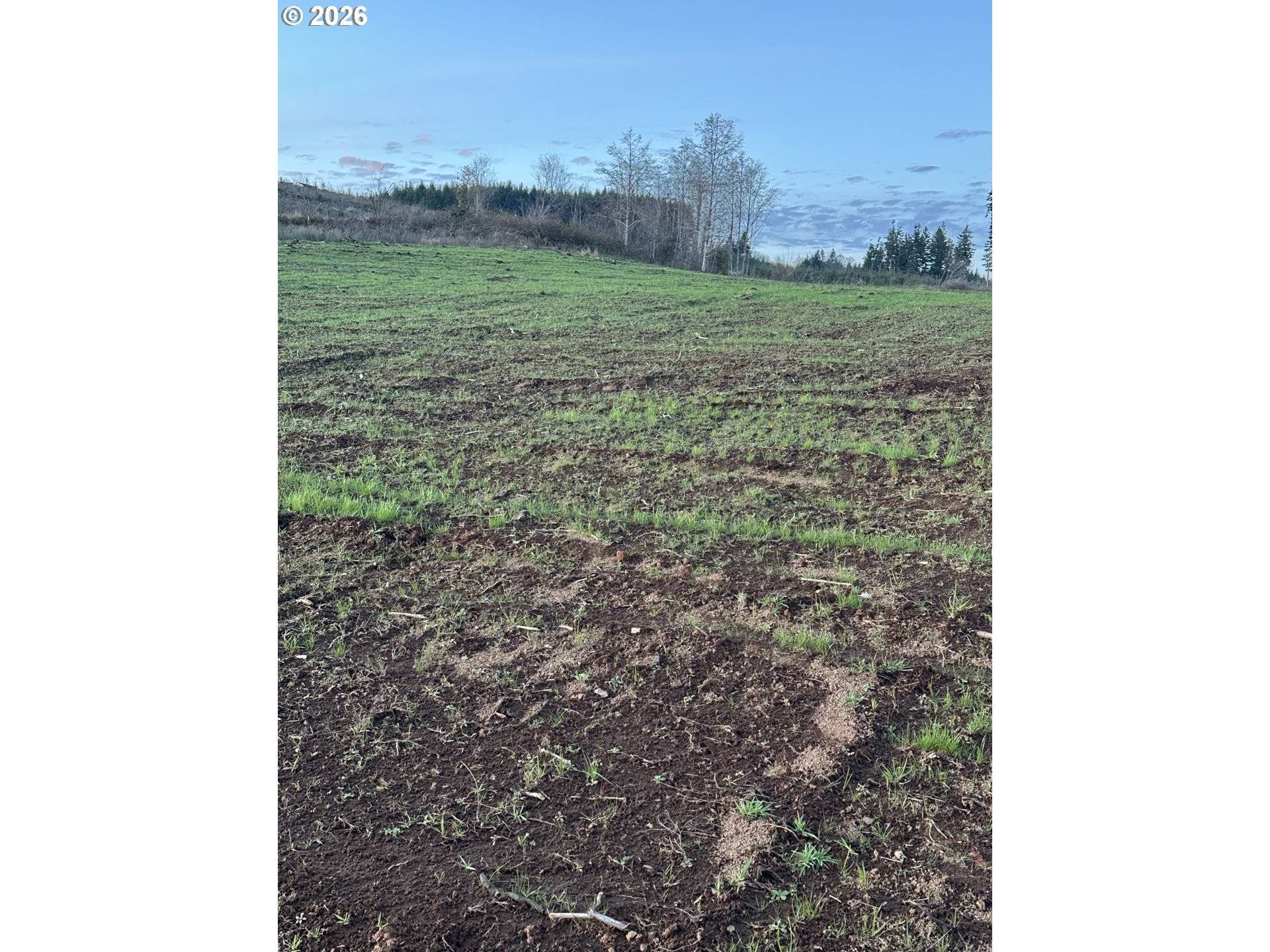 242 Suncrest DR #3, Castle Rock, WA 98611