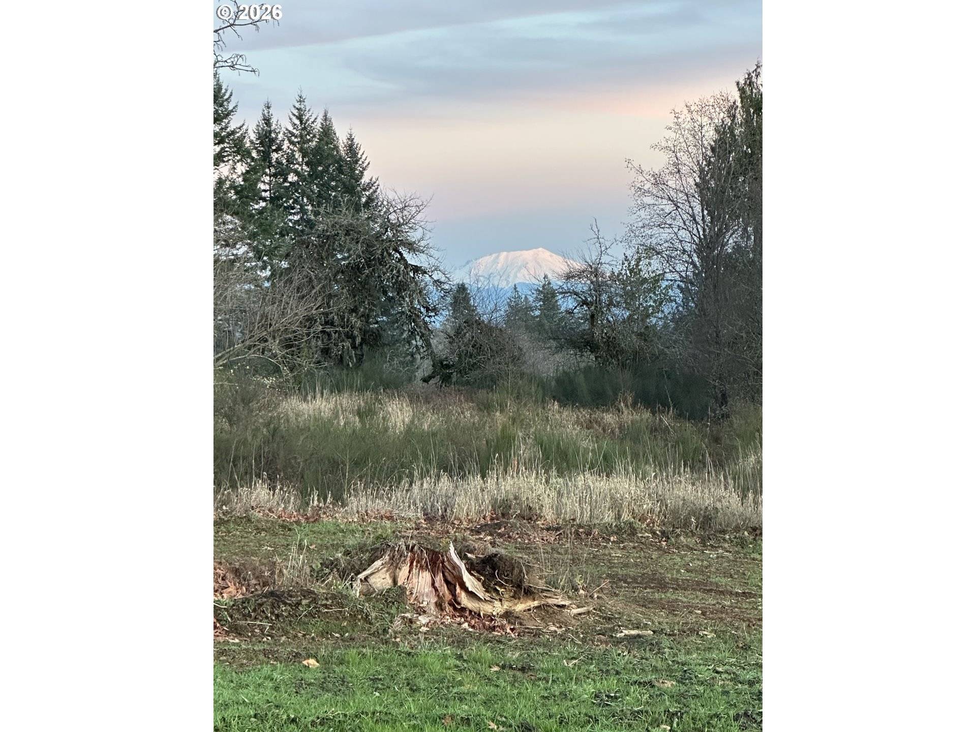 239 Suncrest DR #2, Castle Rock, WA 98611