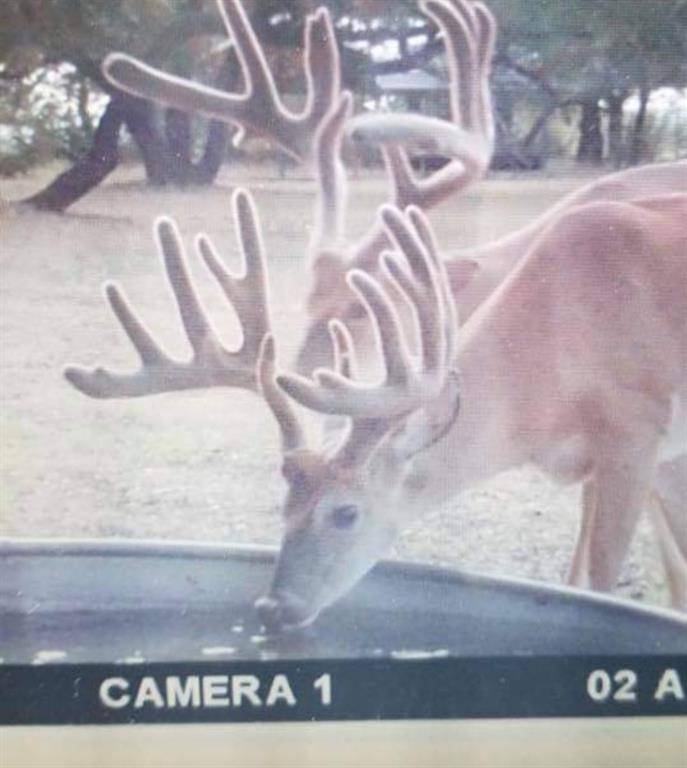 Gatesville, TX 76528,400 Indian Hills Road