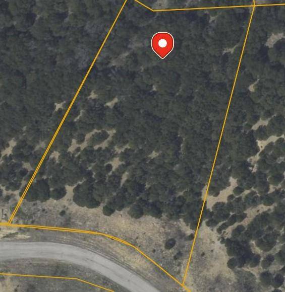 Graford, TX 76449,1397 Canyon Wren South Loop