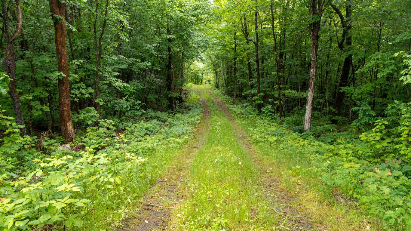 3 Kingfisher RD, Mcdougall, ON P2A 2W9