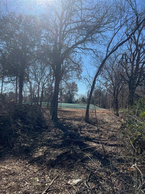 Boyd, TX 76234,165 County Road 4896