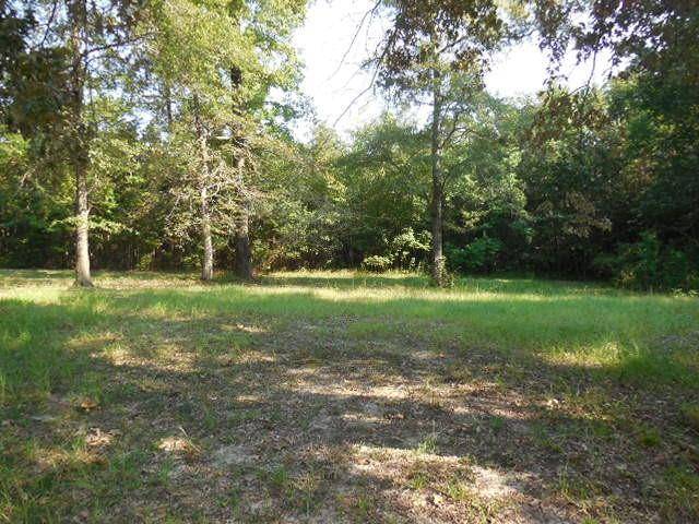 Haughton, LA 71037,247 Owl Lane