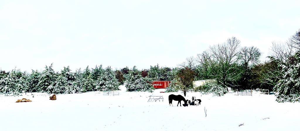 Van Alstyne, TX 75495,5016 Fm 121