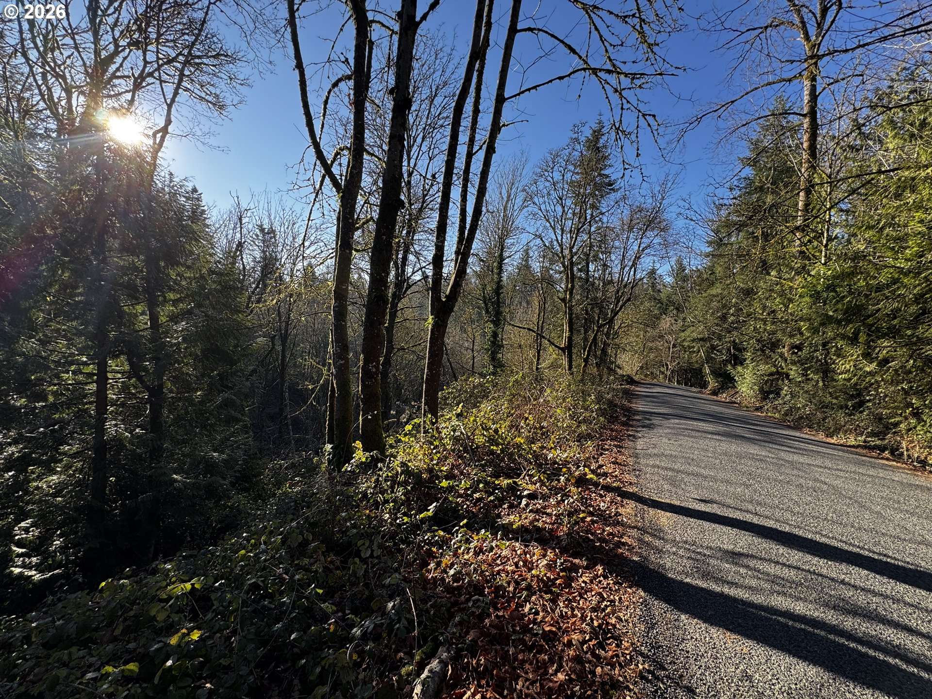 Longview, WA 98632,0 Maplewood DR