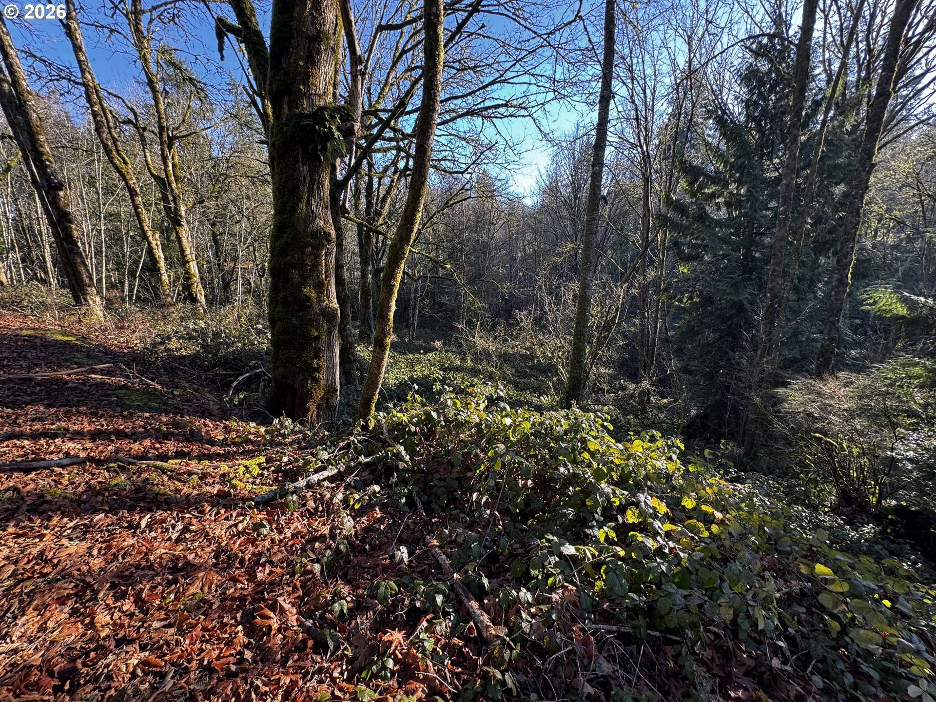 Longview, WA 98632,0 Maplewood DR