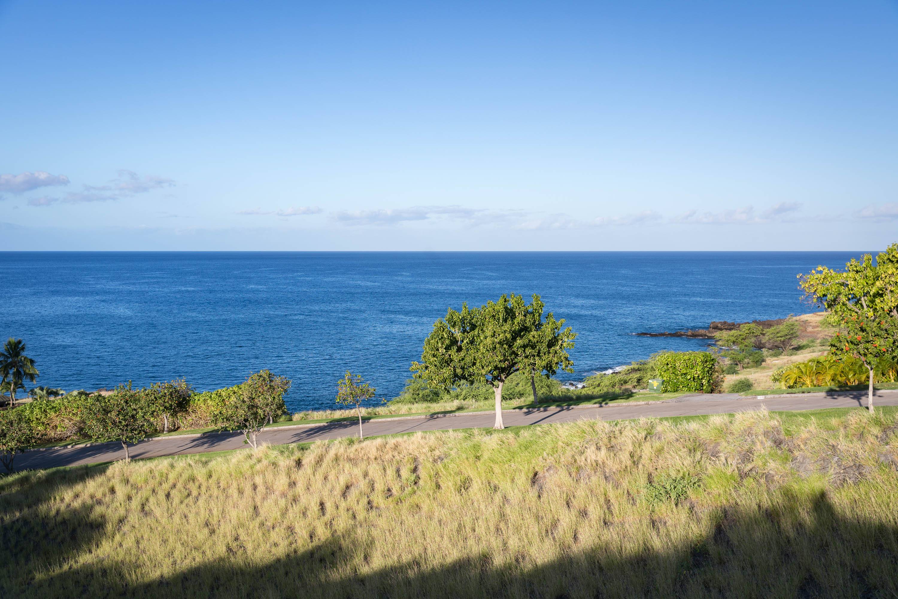 Kamuela, HI 96743,59-111 LAUIPALA PL