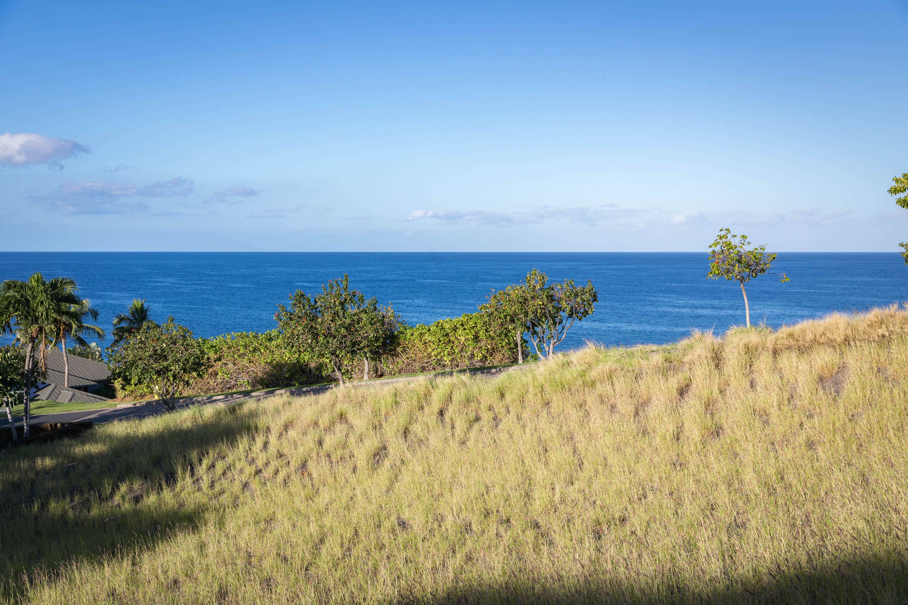 Kamuela, HI 96743,59-111 LAUIPALA PL