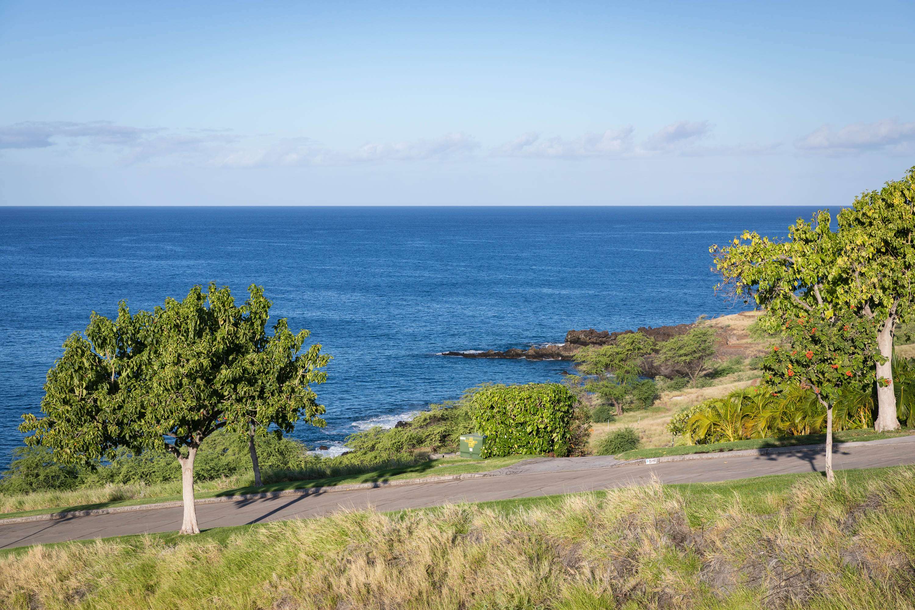 Kamuela, HI 96743,59-111 LAUIPALA PL