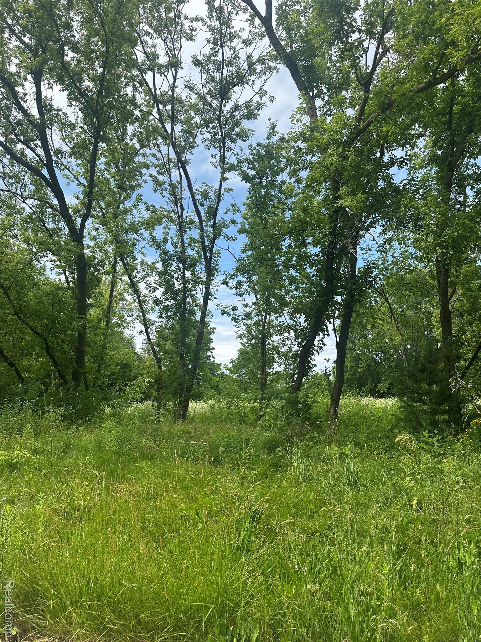 Linden, MI 48430,VL Lakeview Park DR