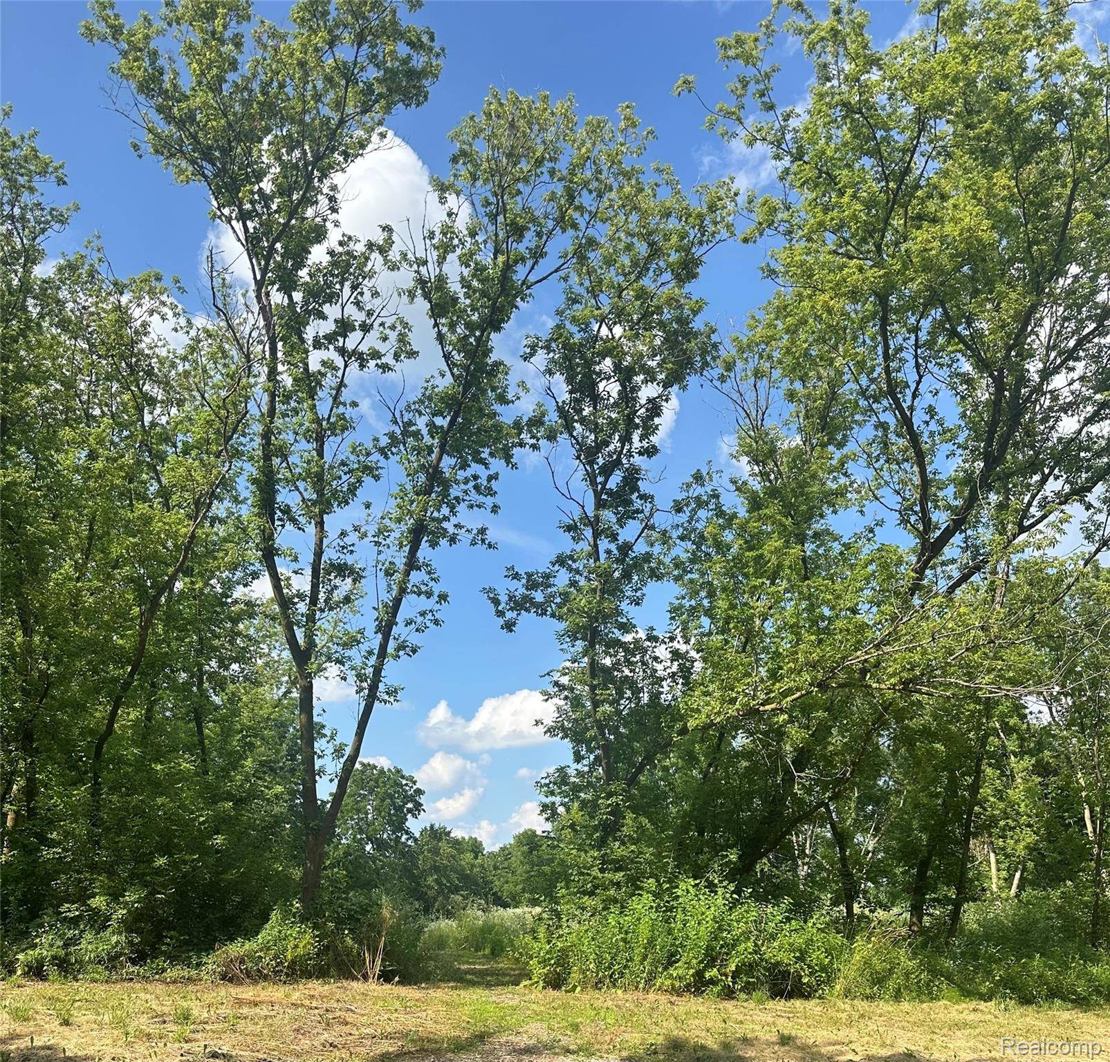 Linden, MI 48430,VL Lakeview Park DR