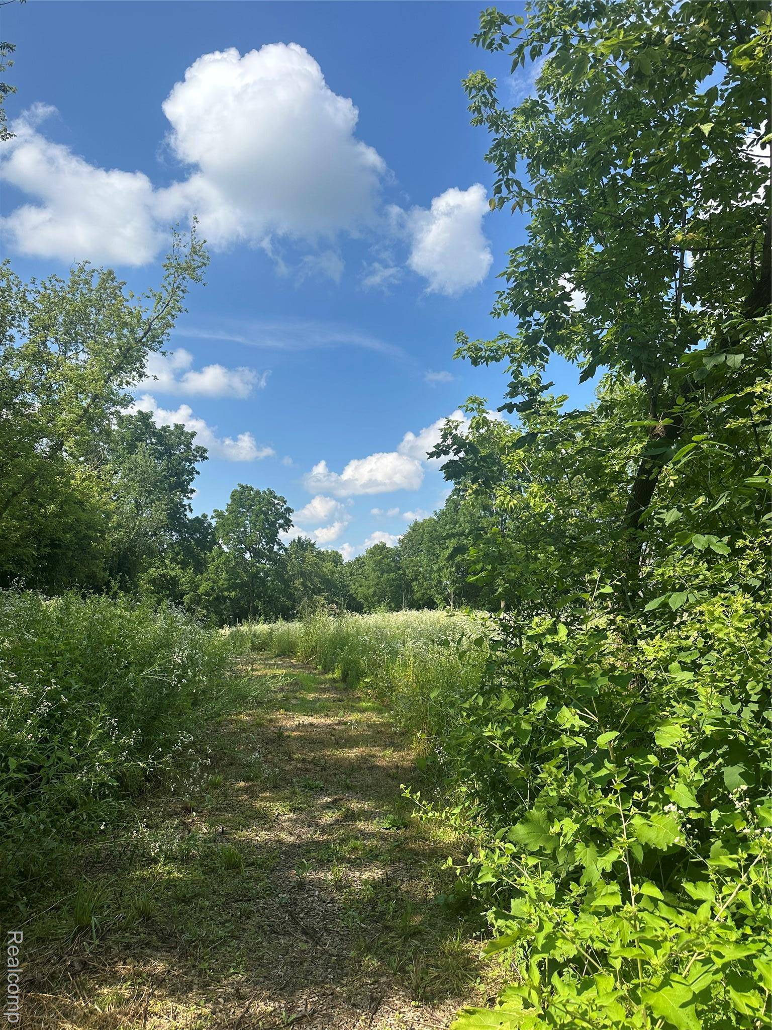 Linden, MI 48430,VL Lakeview Park DR