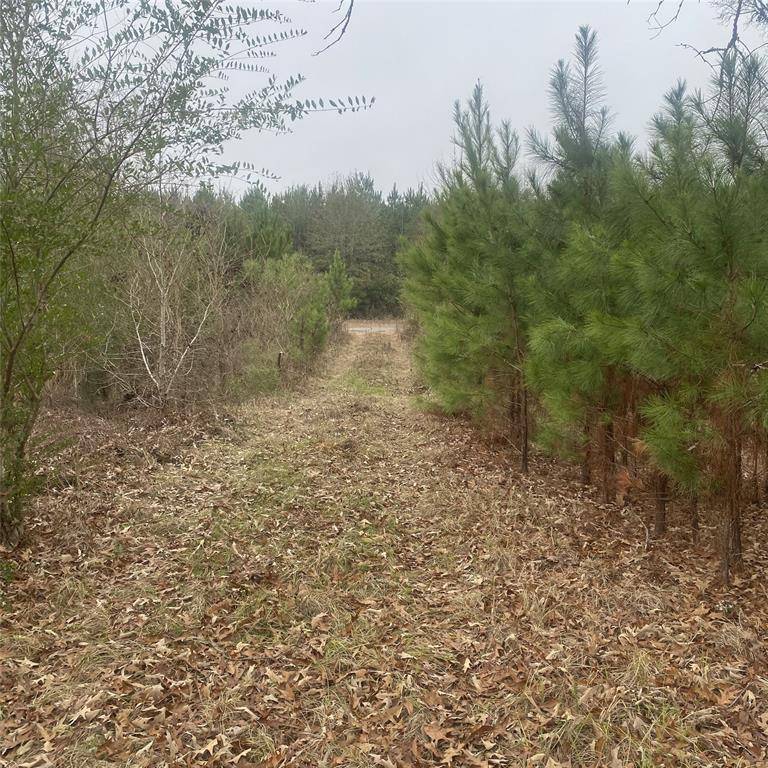 Mansfield, LA 71052,908 WPA Rd