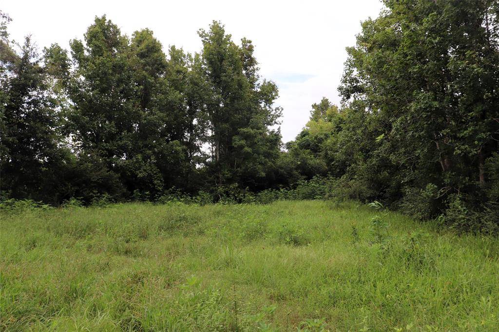 Liberty, TX 77575,127 County Road 190