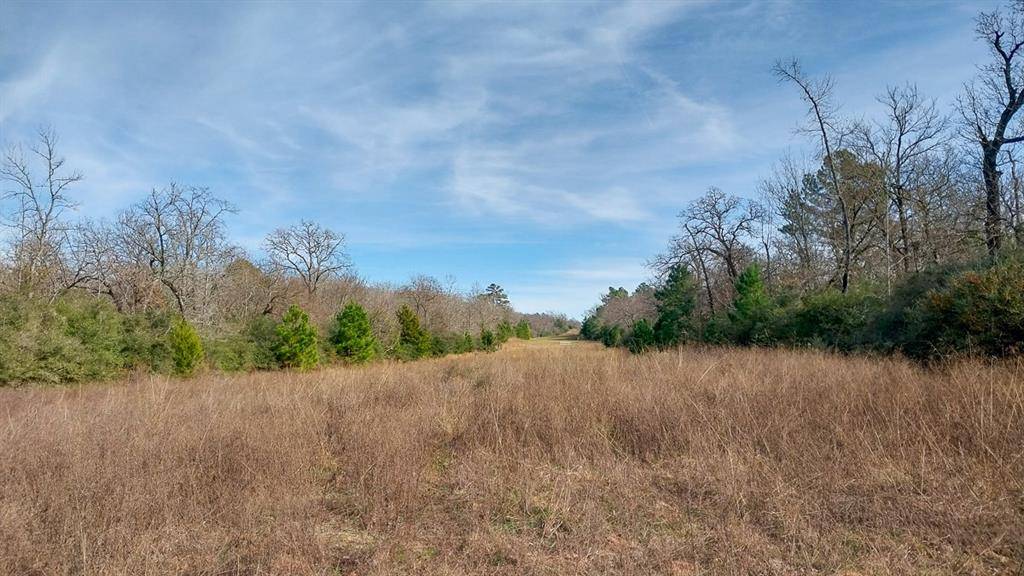 Buffalo, TX 75831,00 FM 1511