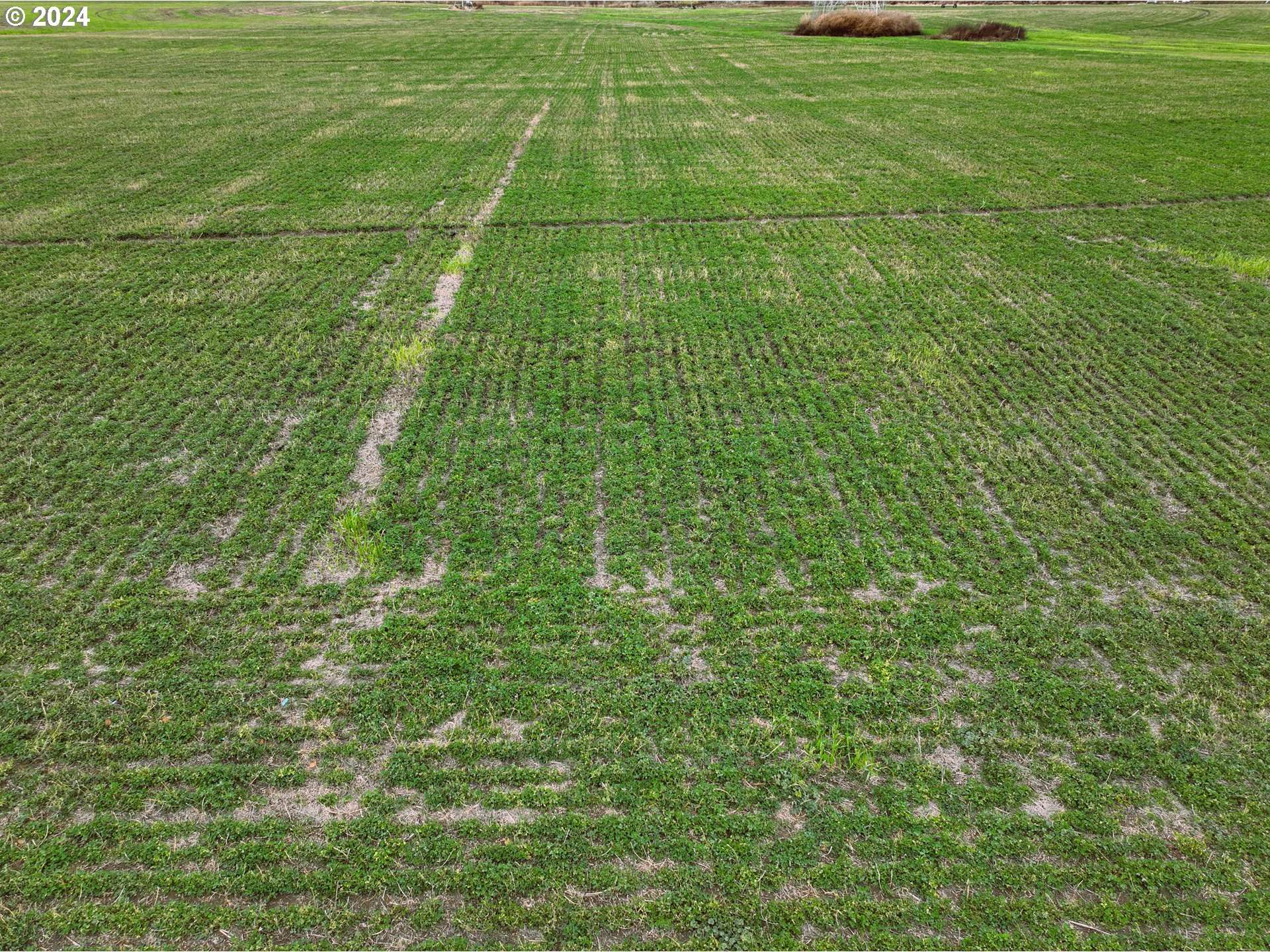 Address not disclosed, Irrigon, OR 97844