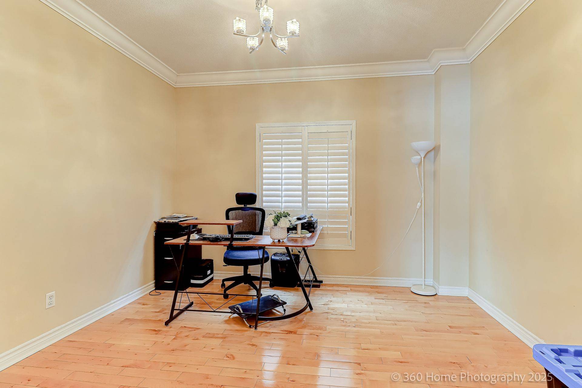 Mississauga, ON L5V 3C5,806 White Clover WAY