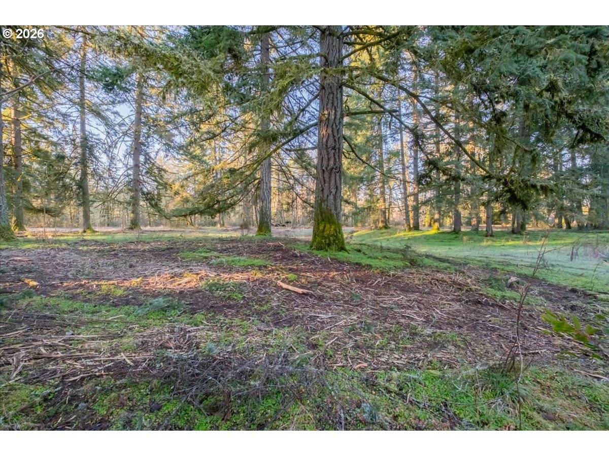 11997 TOWERS RD, Stayton, OR 97383