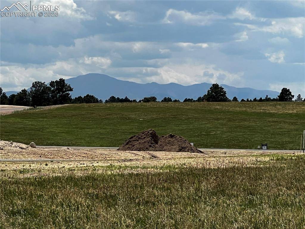 Colorado Springs, CO 80908,11970 Woodridge TER