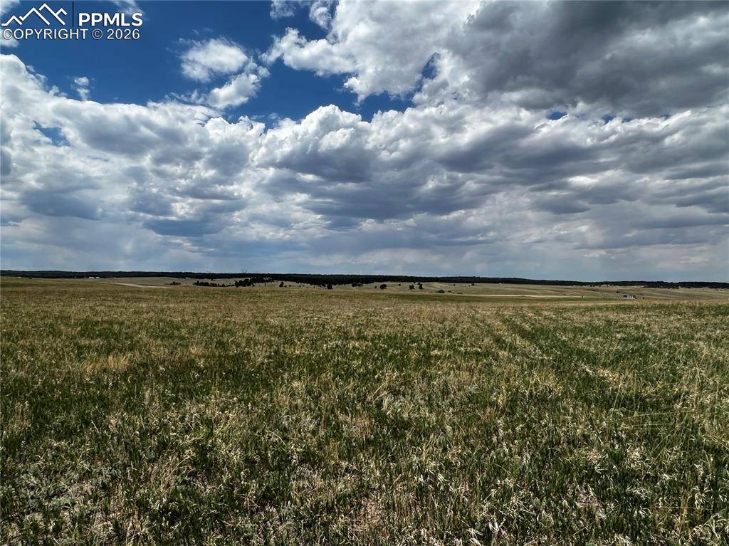 Colorado Springs, CO 80908,11970 Woodridge TER