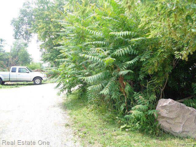 Detroit, MI 48216,2927 ROSA PARKS BLVD