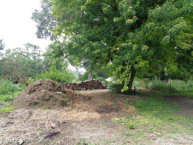 Detroit, MI 48216,2927 ROSA PARKS BLVD