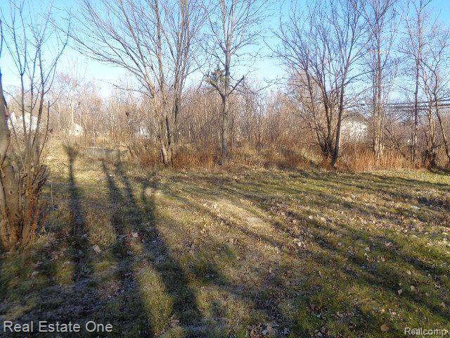 18088 PELKEY ST, Detroit, MI 48205