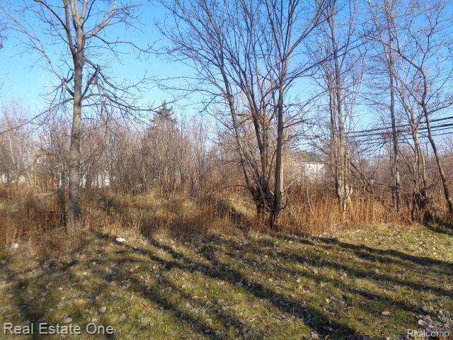 18088 PELKEY ST, Detroit, MI 48205