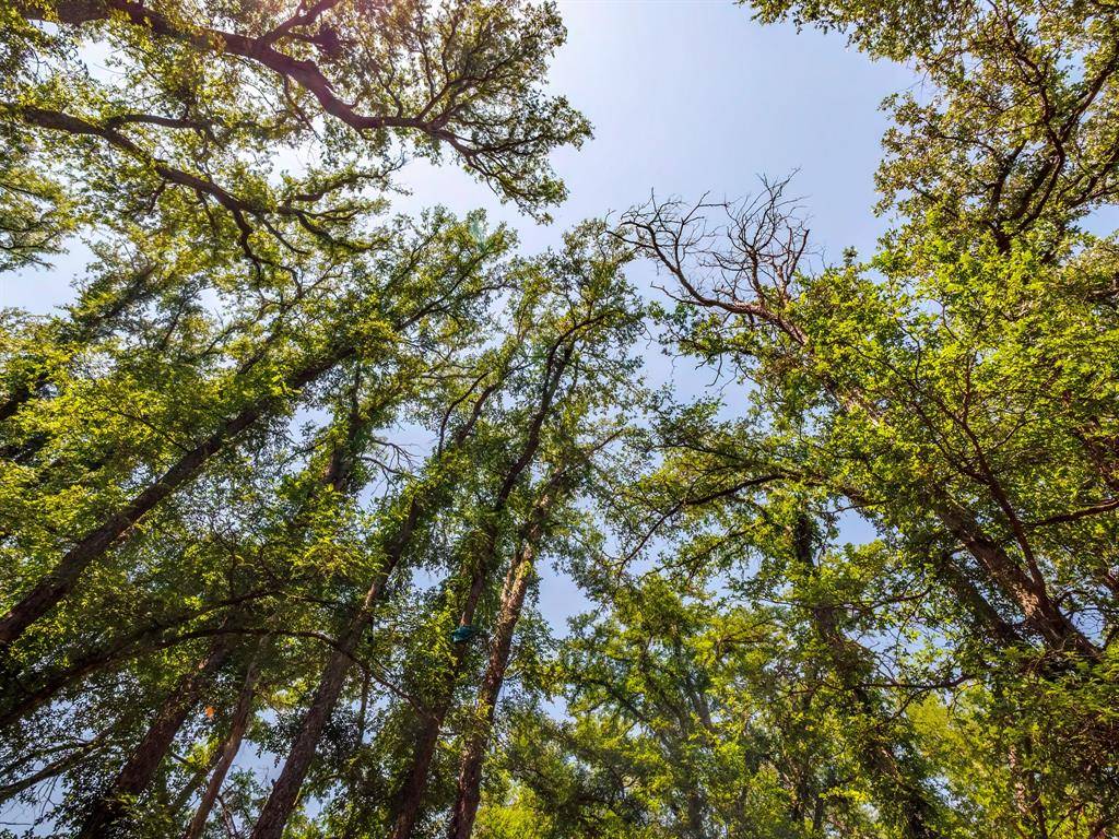 Brownwood, TX 76801,3510 1st Street