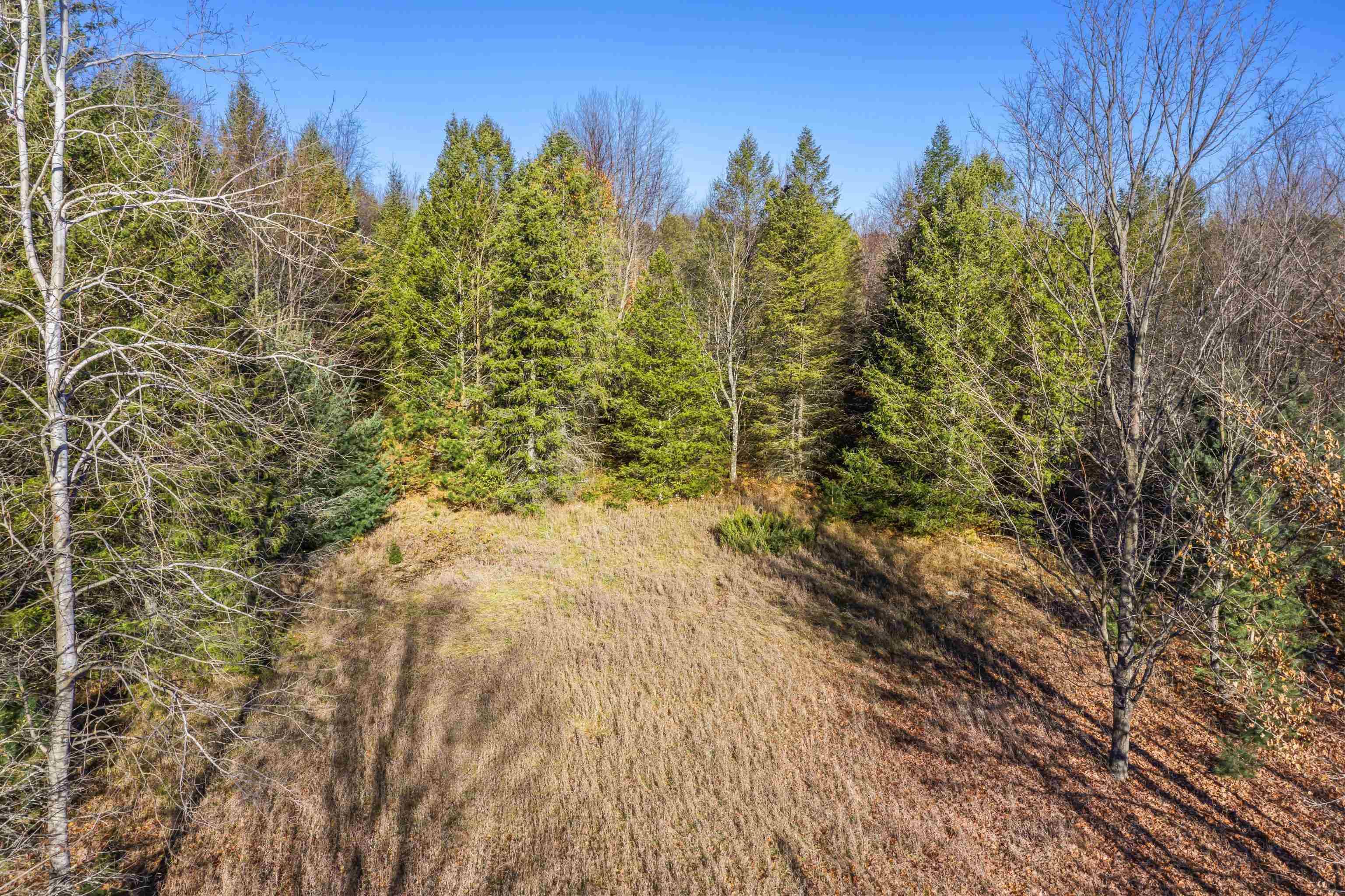 Frankfort, MI 49635,00 Sliverville RD