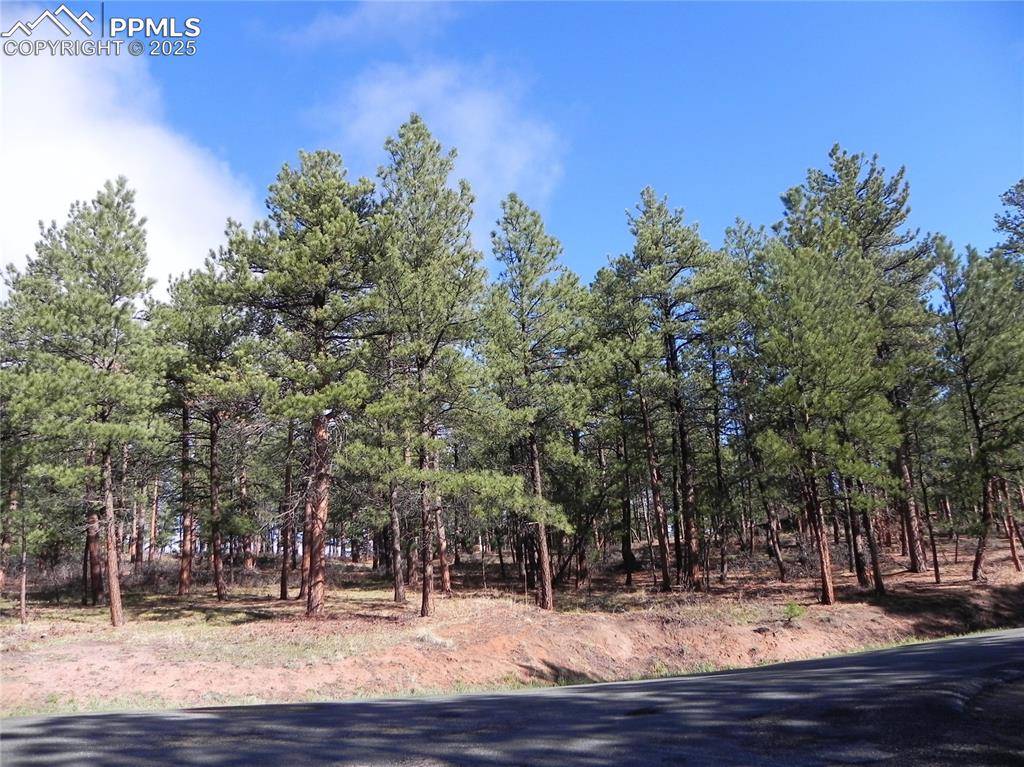 4467 Delaware DR, Larkspur, CO 80118