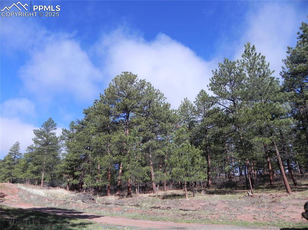4467 Delaware DR, Larkspur, CO 80118
