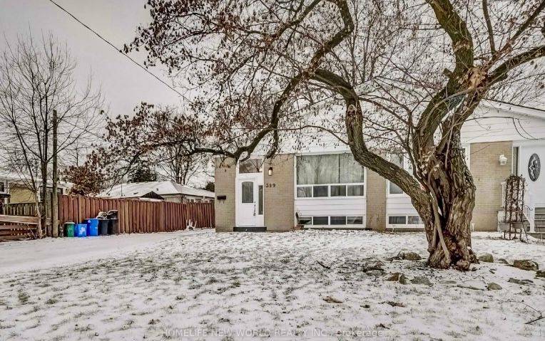 Richmond Hill, ON L4C 3H9,399 Browndale CRES #Basement