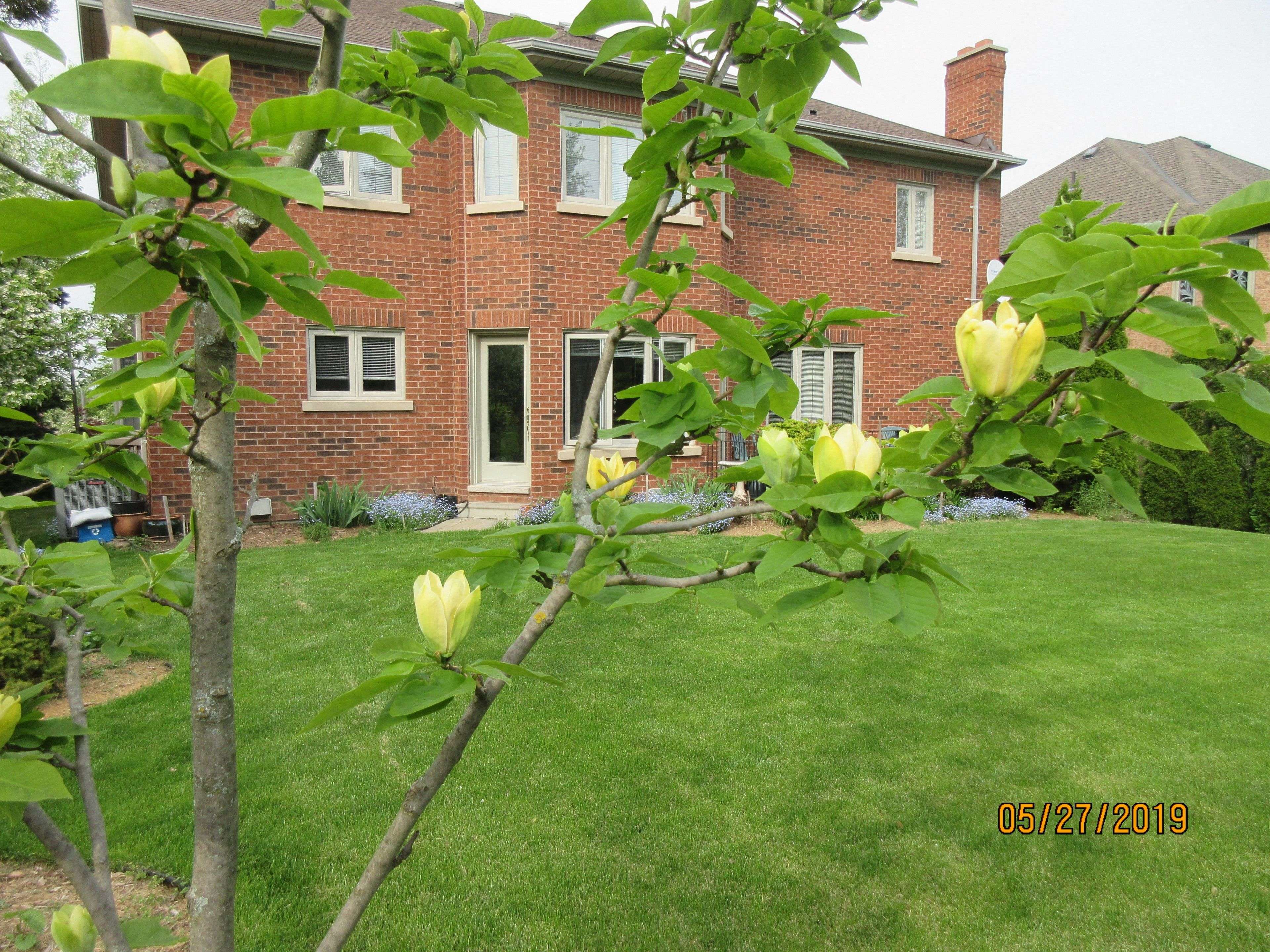 Mississauga, ON L5M 5B5,5278 Hilton CT