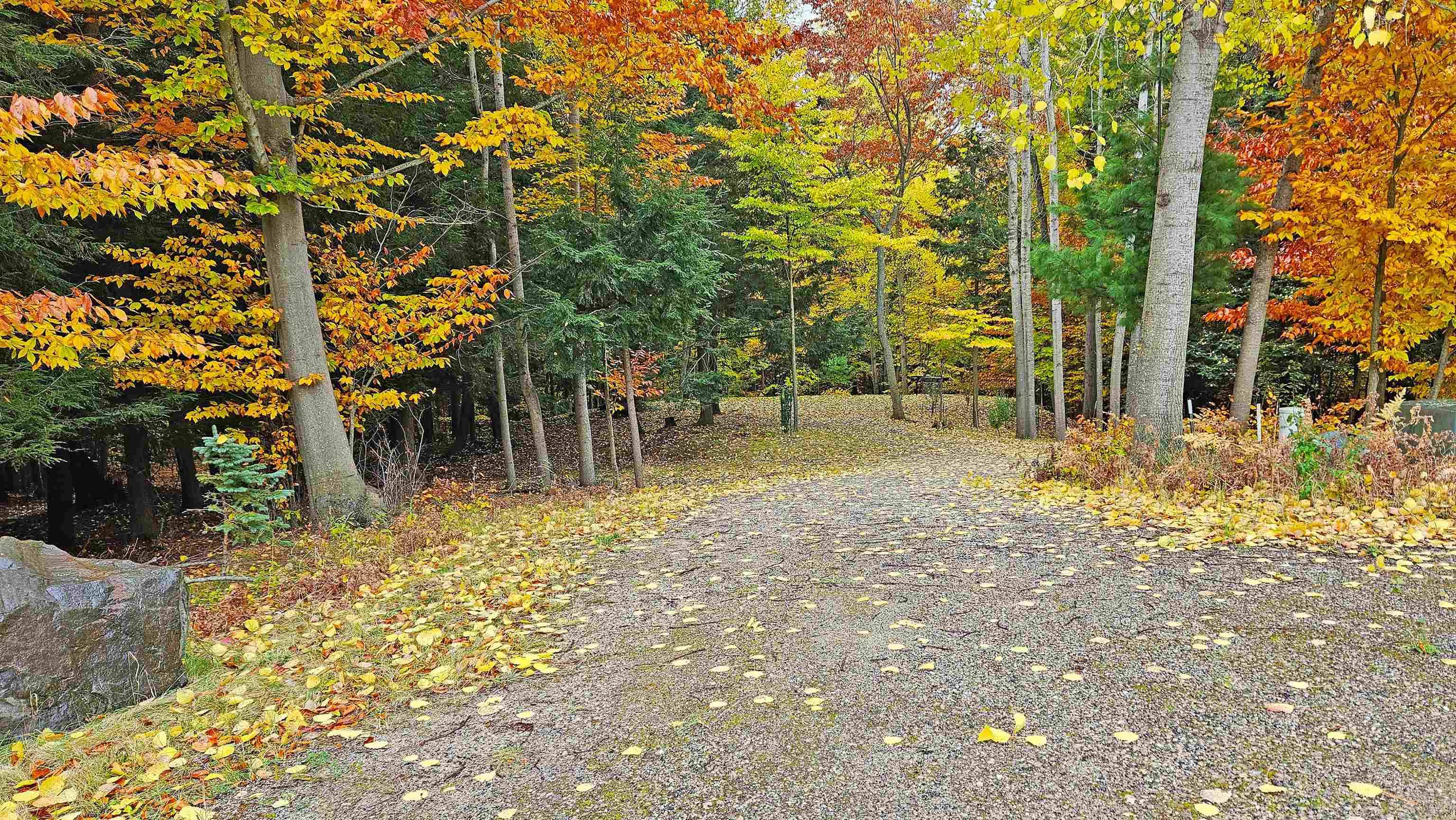 Onekama, MI 49675,Moon Ridge RD