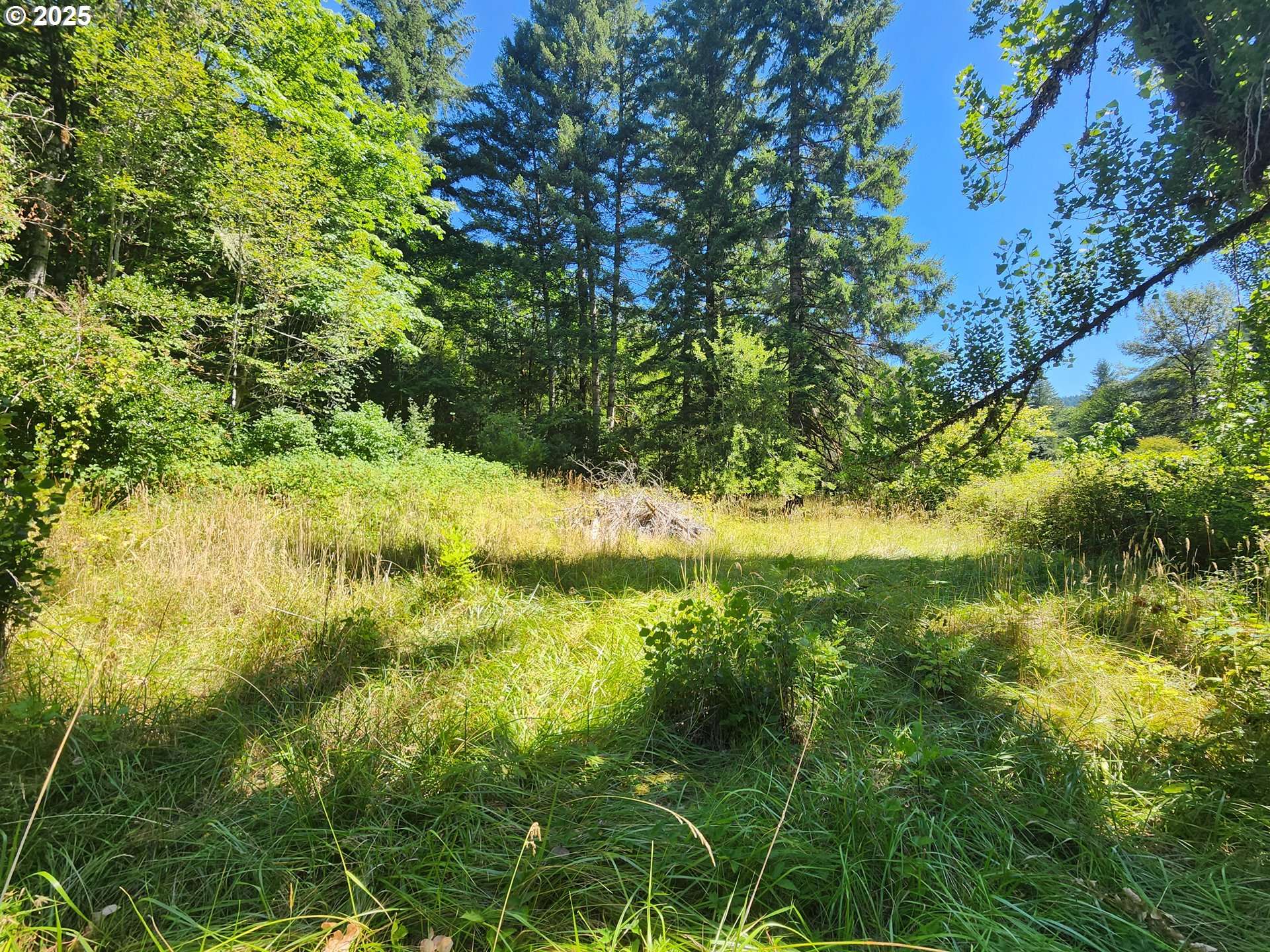 Deadwood, OR 97430,16807 HIGHWAY 36