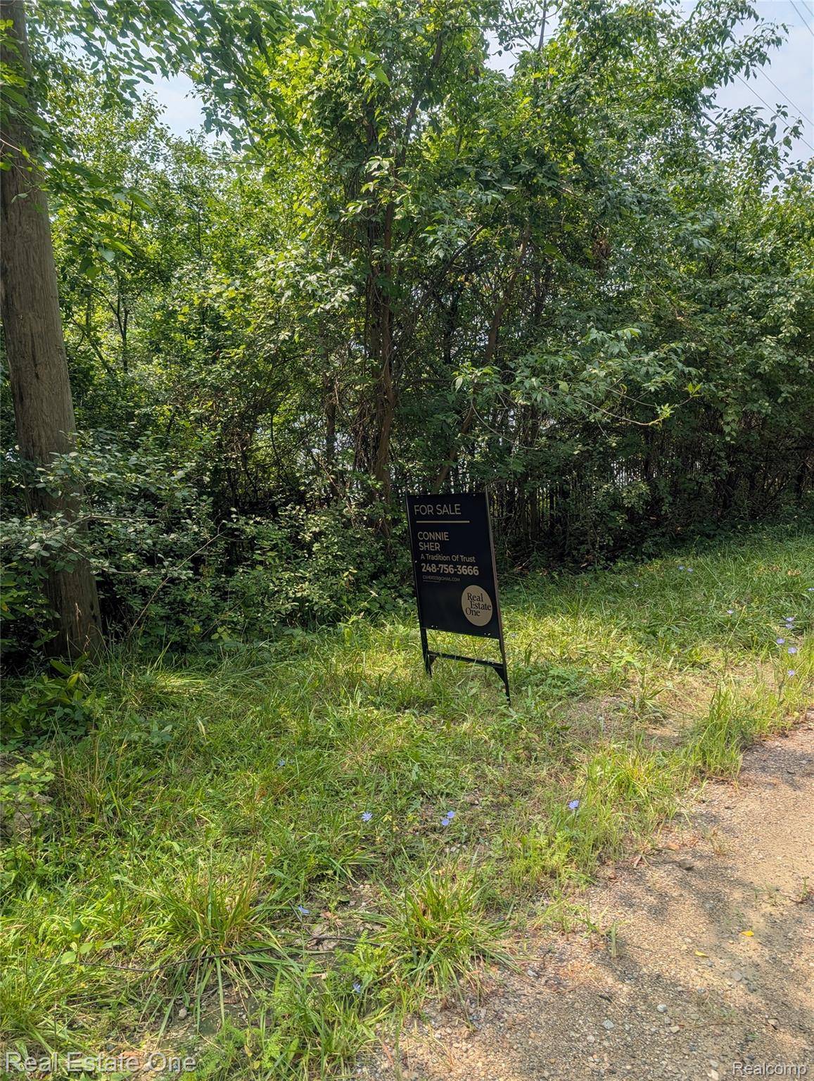 Bloomfield, MI 48304,0000 Ward Road Ward Road RD